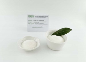 Bovine collagen is high in protein