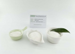 Colágeno bovino feito de pele de vaca fortalece os músculos