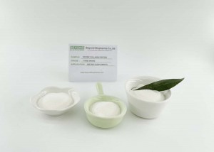 Excellent solubility of  Bovine Collagen Granule made from cow skin, promote your muscles flexibility