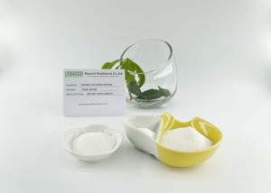 Excellent solubility of  Bovine Collagen Granule made from cow skin, promote your muscles flexibility