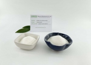 Excellent solubility of  Bovine Collagen Granule made from cow skin, promote your muscles flexibility