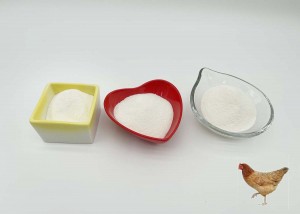 Good For Joint Health For Chicken Collagen type ii