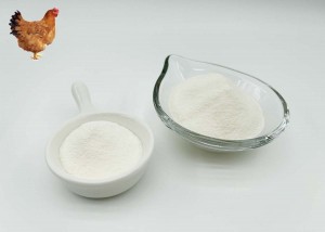 Good For Joint Health For Chicken Collagen type ii