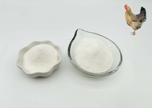 Good For Joint Health For Chicken Collagen type ii