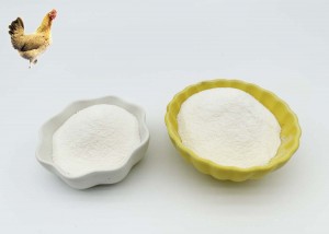 Chicken collagen type ii is more easily absorbed by the body