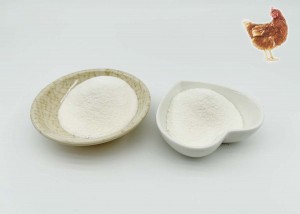 Chicken collagen type ii is more easily absorbed by the body