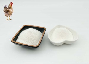 Chicken collagen type ii is more easily absorbed by the body