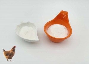 Chicken collagen type ii is more easily absorbed by the body