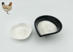 Chicken collagen type ii is more easily absorbed by the body