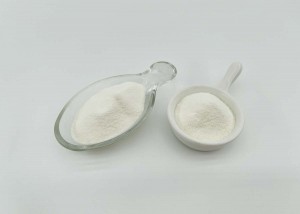 Hydrolysierte Fischkollagenpeptide können die Knochengesundheit fördern