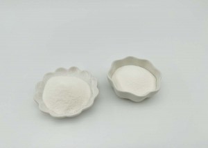 Well – soluble Chicken Collagen Type II Powder is Good for Bone Health