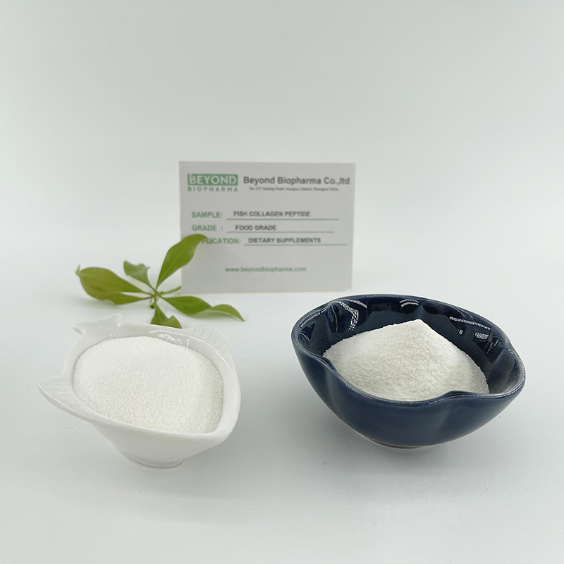 Denizde Yakalanan Balık Kollajen1