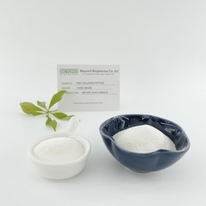 Water Soluble Marine Wild Caught Fish Collagen Peptide