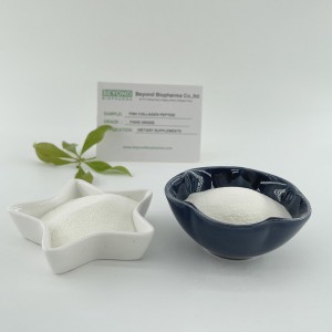 Water Soluble Marine Wild Caught Fish Collagen Peptide