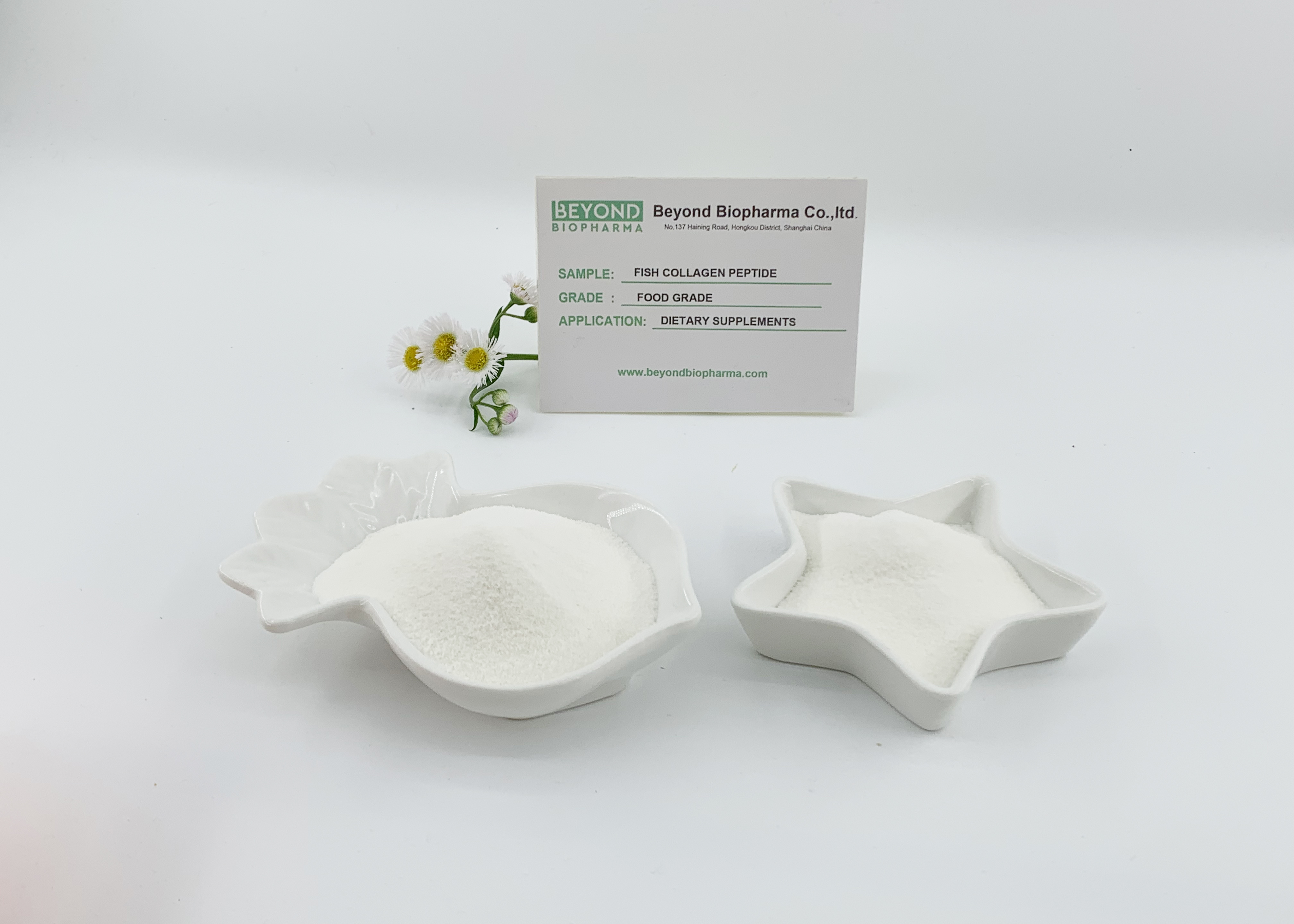 Fish Collagen: The Best Choice for Healthy Skin