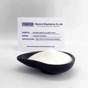 Native Chicken Collagen type ii for Bone Health