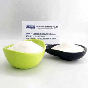 Native Chicken Collagen type ii for Bone Health