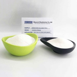 Native Chicken Collagen type ii for Bone Health
