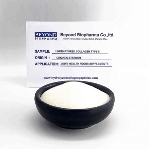 Native Chicken Collagen type ii for Bone Health