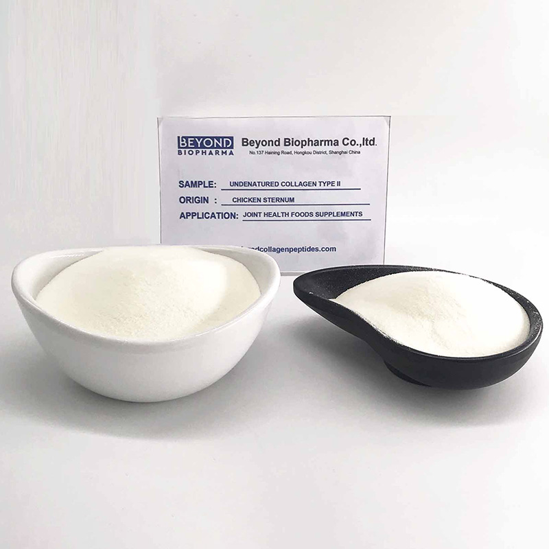 Native Chicken Sternal Collagen type 21