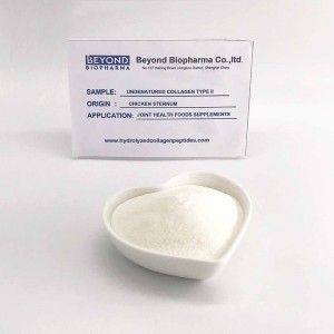 Native Chicken Sternal Collagen type 2 for joint Health