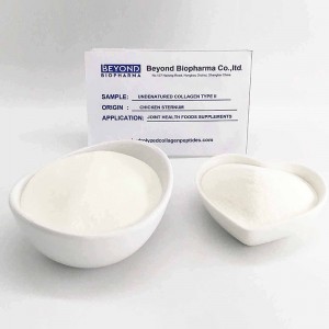 Native Chicken Sternal Collagen type 2 for joint Health