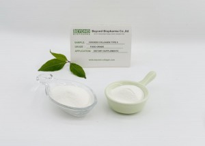 Active Undenatured Chicken Collagen Type II Sourced from Chicken Sternum Helps Bone Health