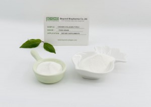 Active Undenatured Chicken Collagen Type II Sourced from Chicken Sternum Helps Bone Health