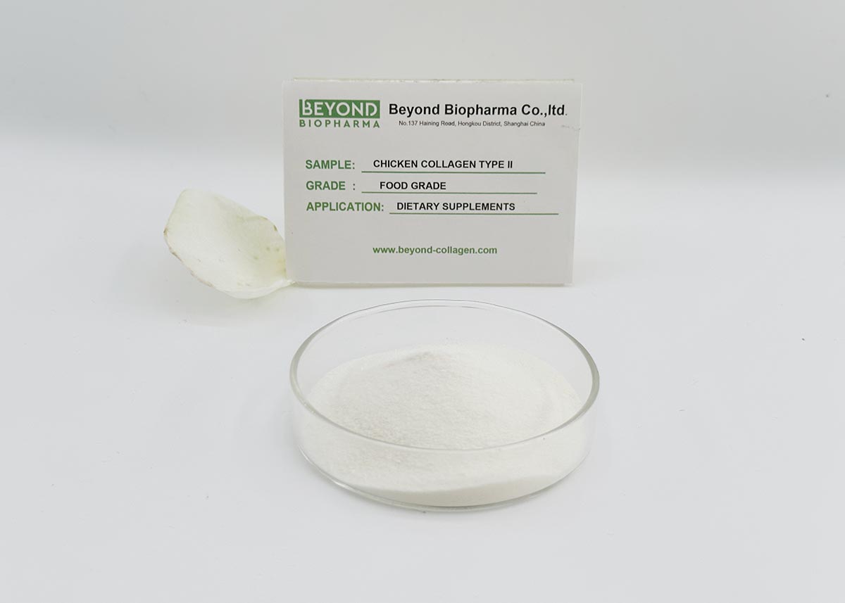 Undeanatured chicken collagen type ii