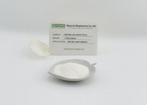 Active Undenatured Chicken Collagen Type II Sourced from Chicken Sternum Helps Bone Health