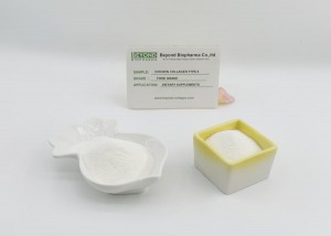 Active Chicken Collagen Type II from Chicken Sternum Helps Joint Health