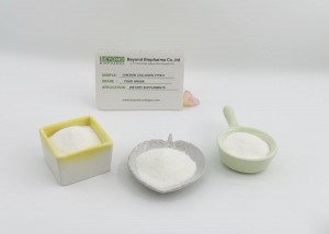 Active Chicken Collagen Type II from Chicken Sternum Helps Joint Health