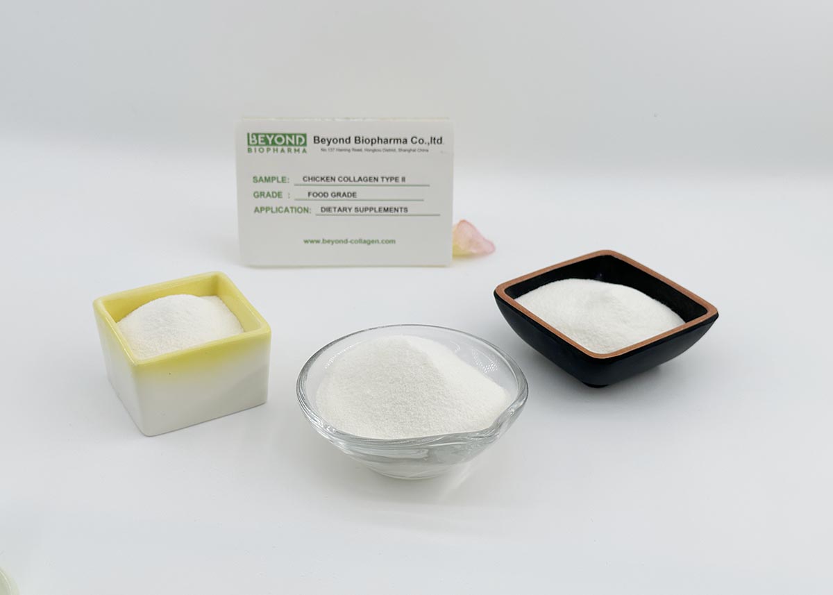 Undenatured Chicken Type II Collagen