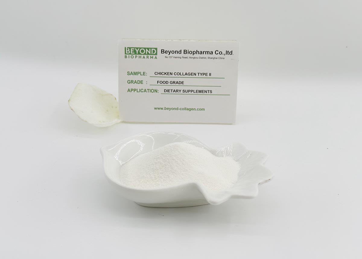 Undenatured chicken collagen type ii