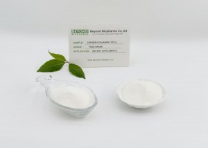 Undenatured Collagen Type II from Chicken Sternum Can Support Joint Health