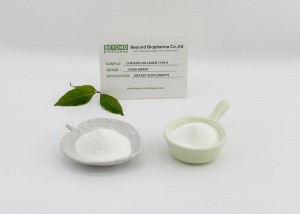 Undenatured Collagen Type II from Chicken Sternum Can Support Joint Health