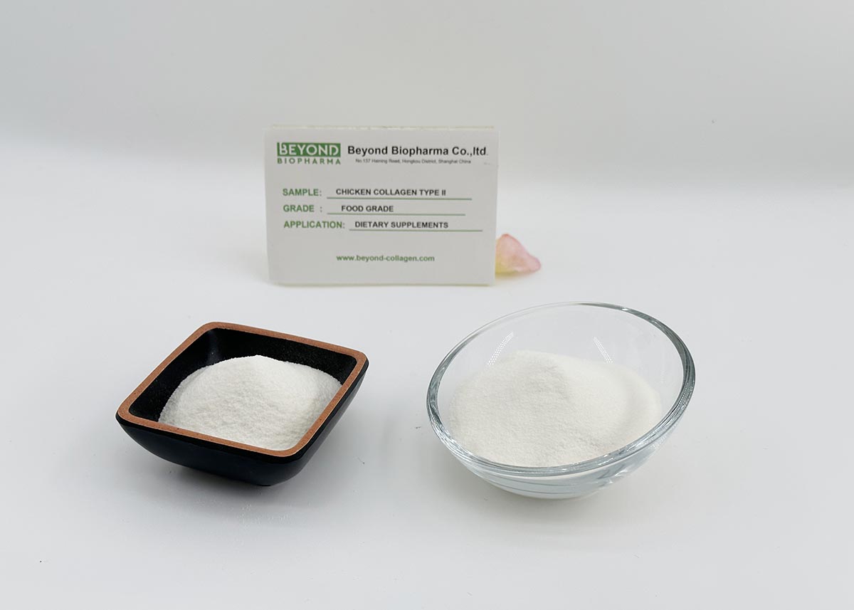 Undenatured chicken type ii collagen  