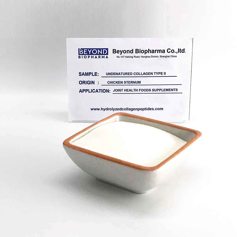 Undenatured chicken collagen type ii from Chicken sternum