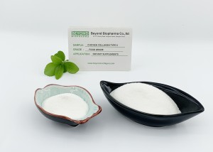 Hydrolyzed Chicken Type II Collagen Is Good for Joint Care Dietary Supplements