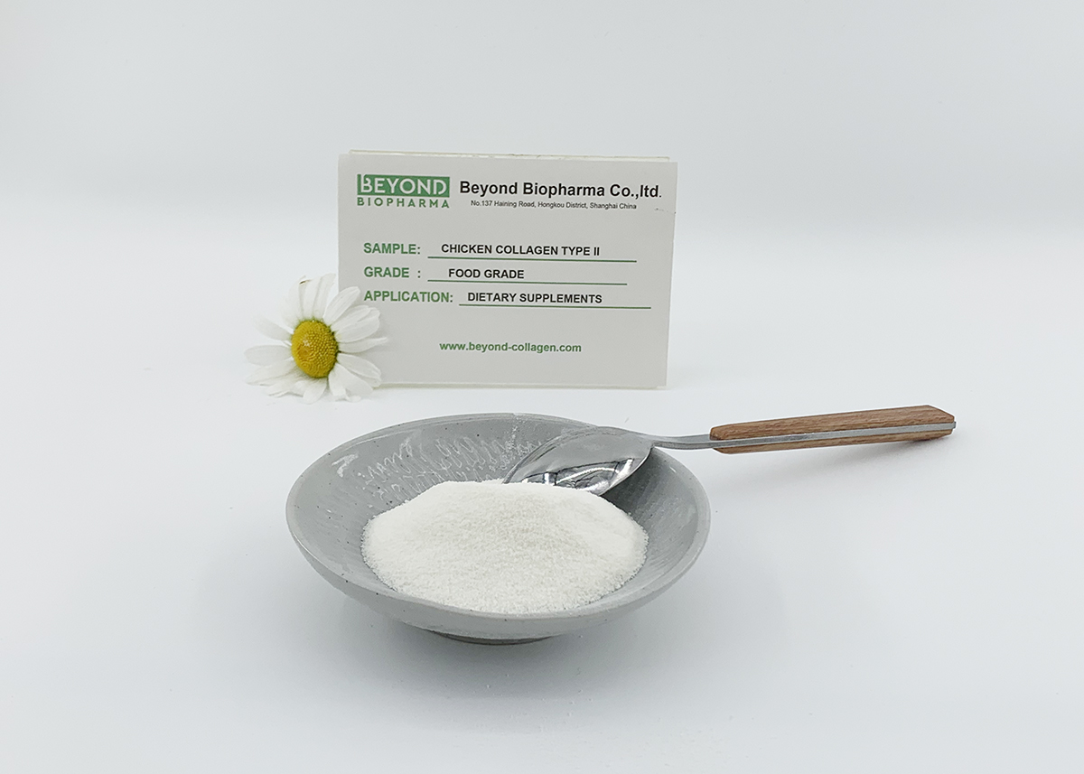 Chicken Collagen Type II