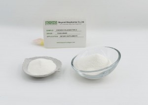 Natural Undenatured Chicken Type II Collagen Can Improve Your Joint Mobility