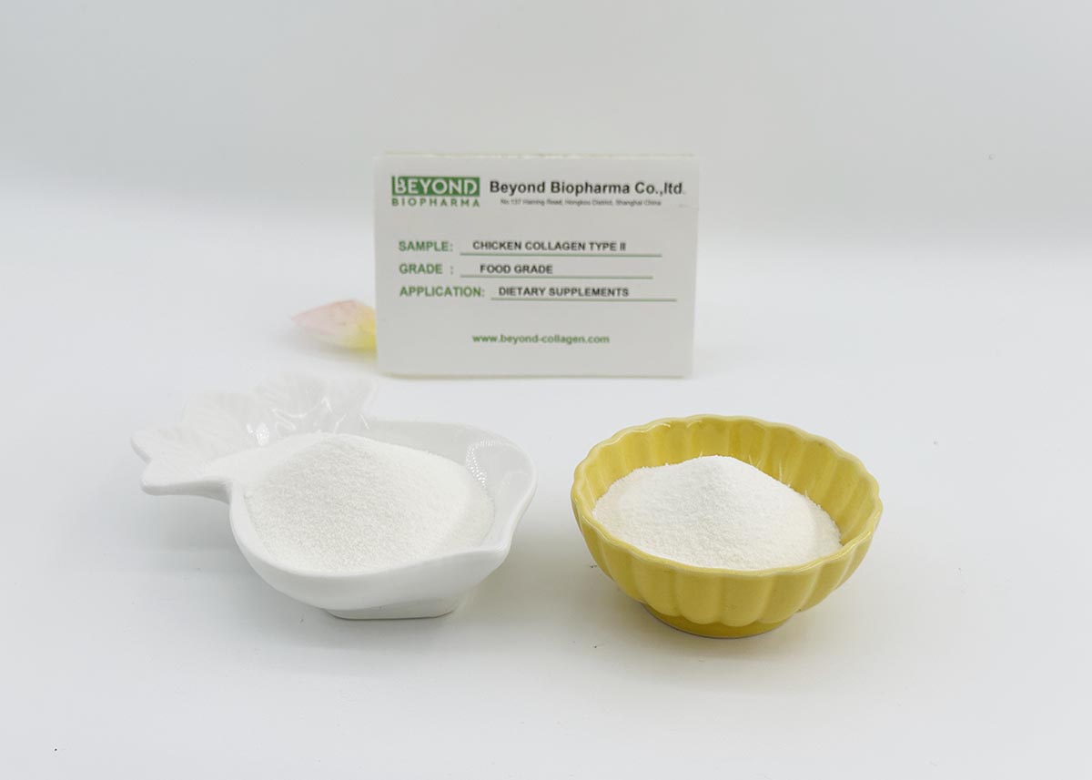 hydrolyzed chicken collagen type ii