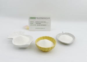 Natural Undenatured Chicken Type II Collagen Can Improve Your Joint Mobility