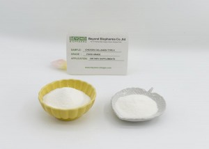 Natural Undenatured Chicken Type II Collagen Can Improve Your Joint Mobility