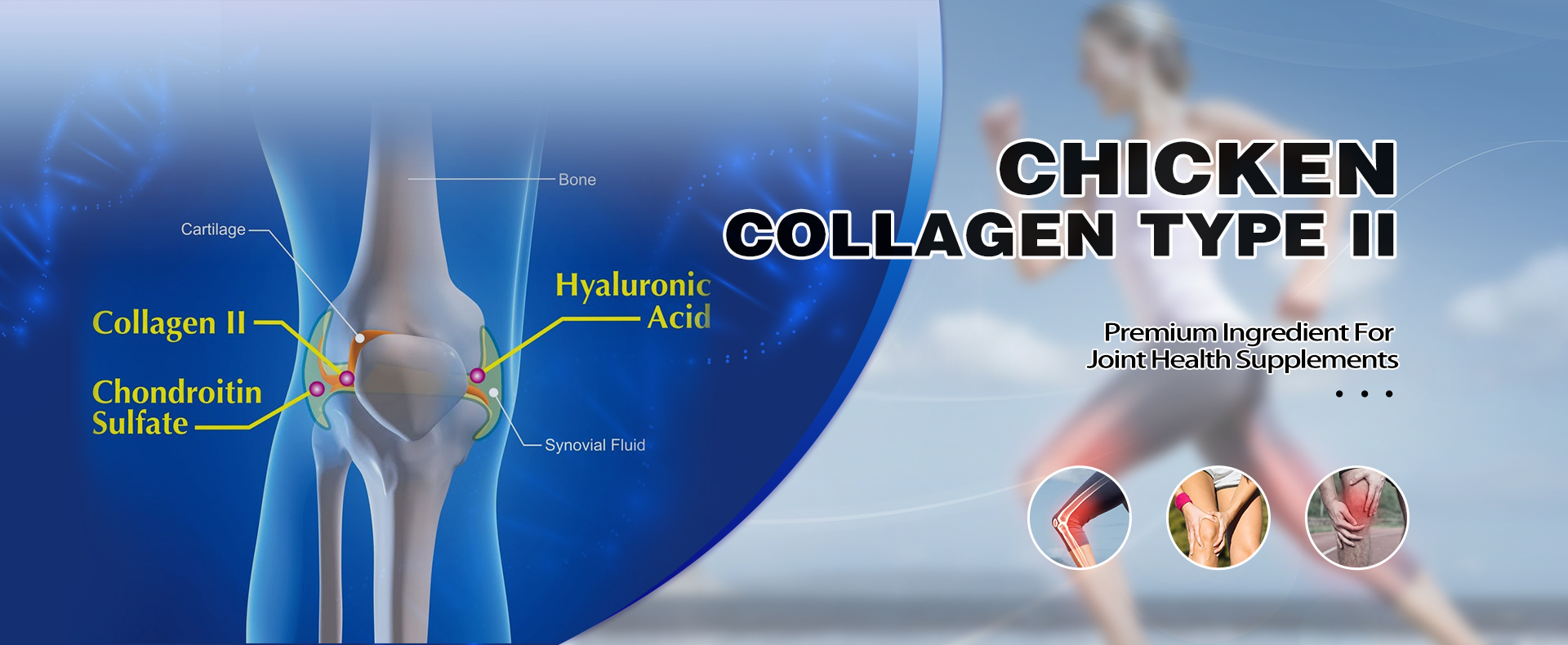 chicken-collagen-type-ii