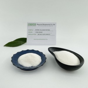 Bovine Collagen Peptide cho bột đồ uống đặc