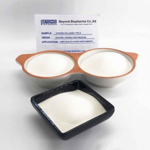 Chicken Cartilage extract Hydrolyzed Collagen type ii