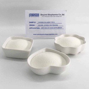 Chicken Collagen Type ii for Joint Health Supplements