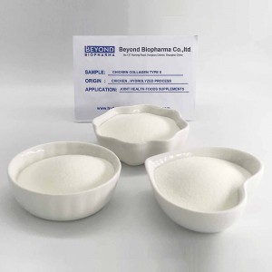 Chicken Collagen Type ii for Joint Health Supplements