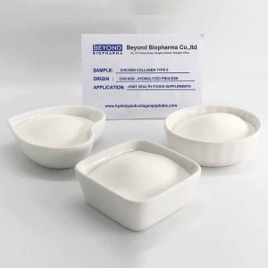 Chicken Collagen Type ii for Joint Health Supplements